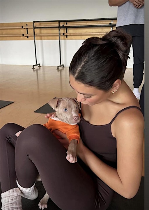 PUPPY YOGA DETROIT