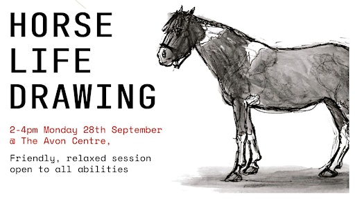 Horse Life Drawing