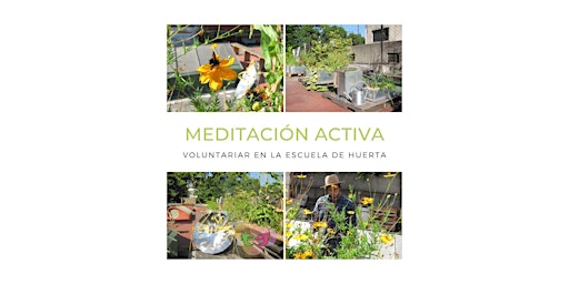Voluntariado en Huerta Urbana | Meditación Activa en Terraza Verde