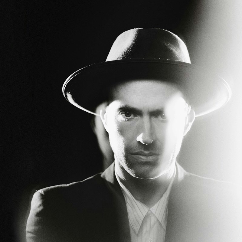 The Veils