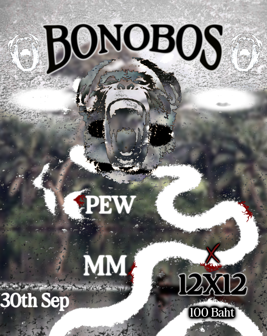 Bonobos at 12x12