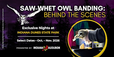 Saw-whet Owl Banding: Behind the Scenes
