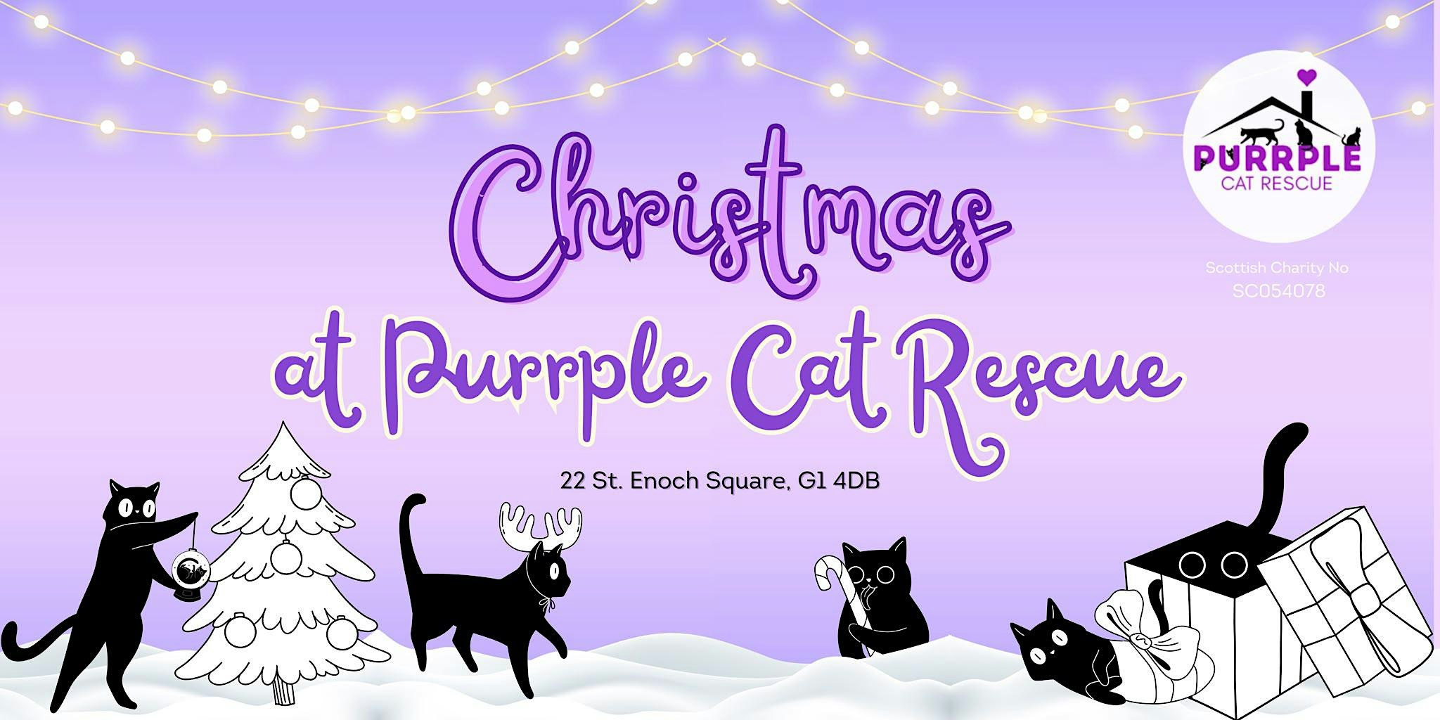 Christmas Baubles Craft with Cats!