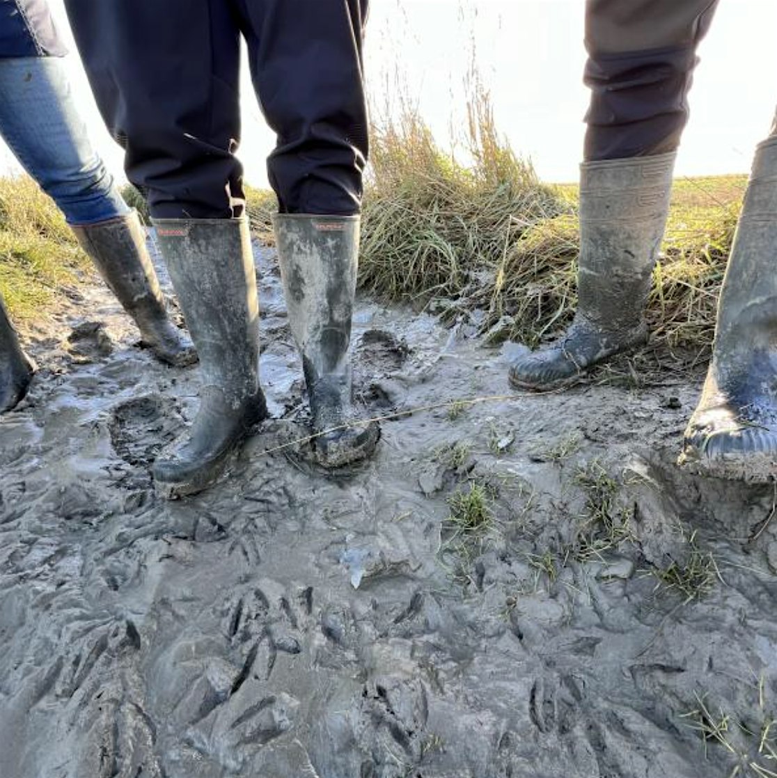 Grenslandschappen in Transitie