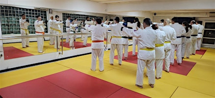Krav Maga București: prima lecție de autoapărare, Tineretului Dojo (Seara)
