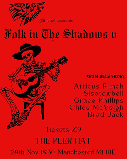 Folk In The Shadows V