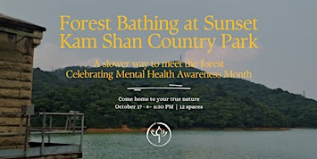 Forest Bathing at Sunset | Kam Shan Country Park