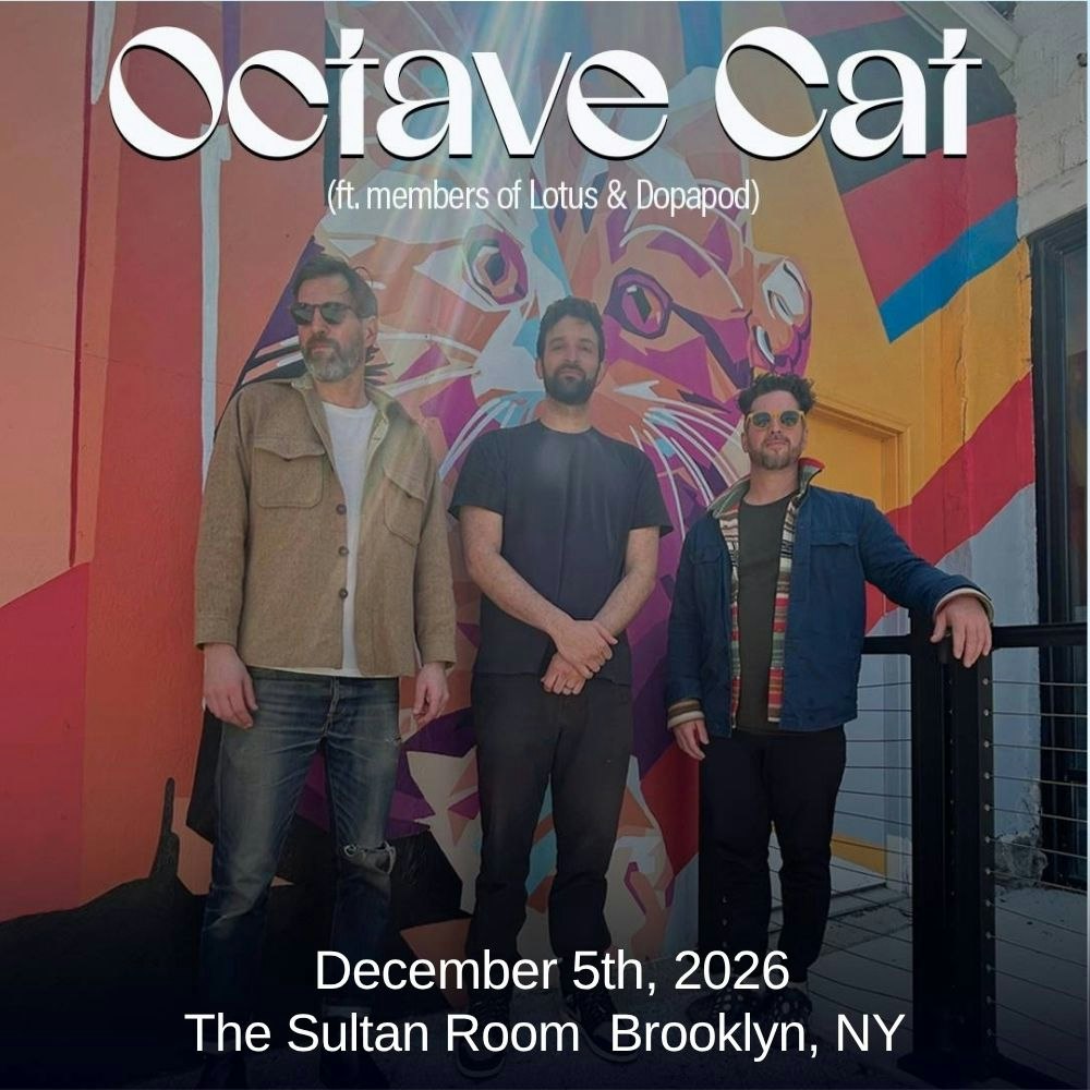 Octave Cat