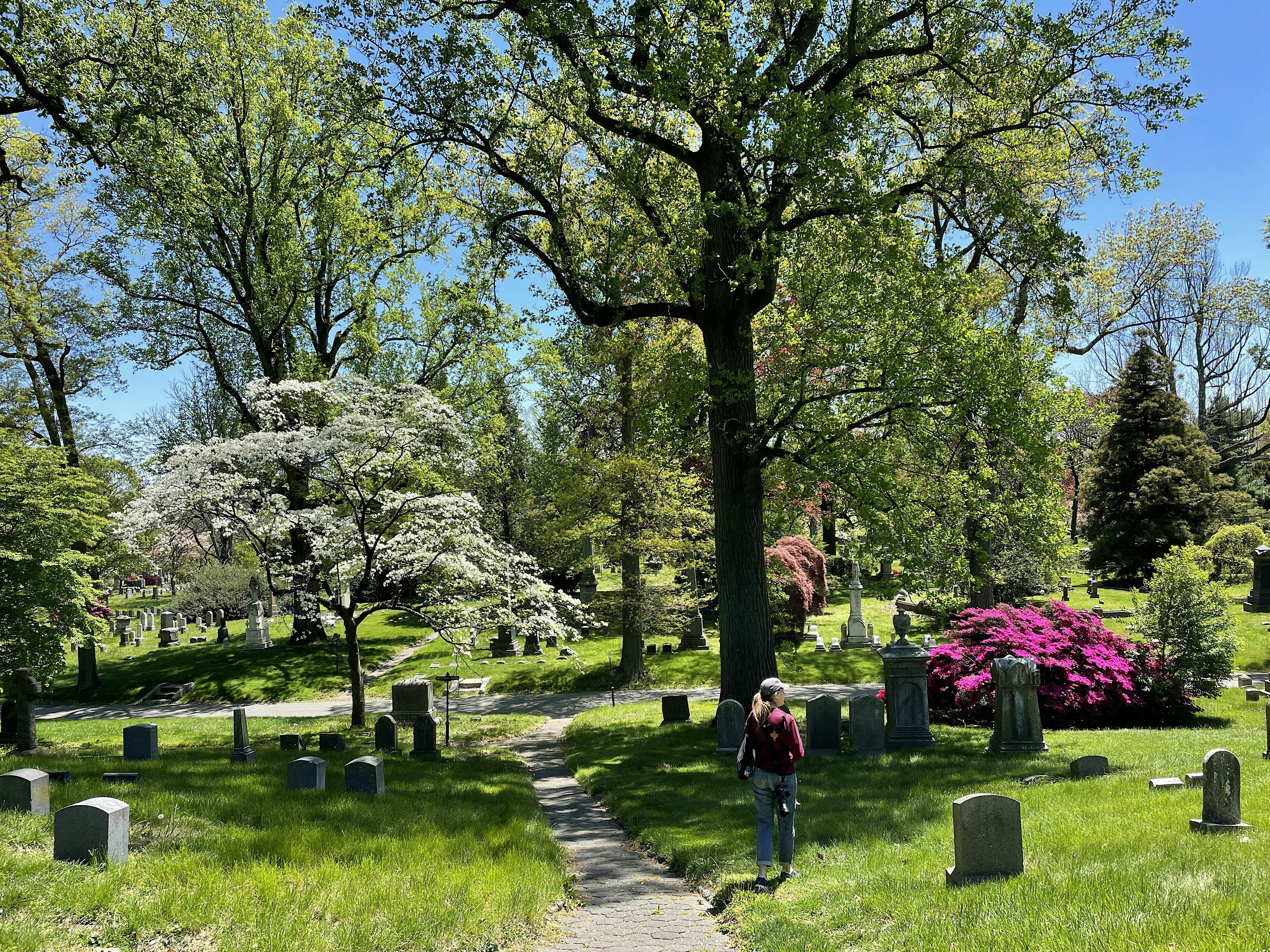 Grave Beginnings: Walking Green-Wood