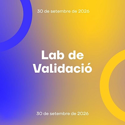 Lab de Validació