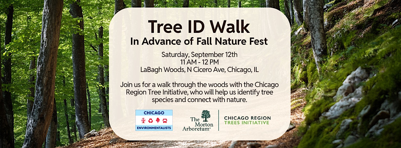 Tree ID Walk with Chicago Enviro and CRTI!