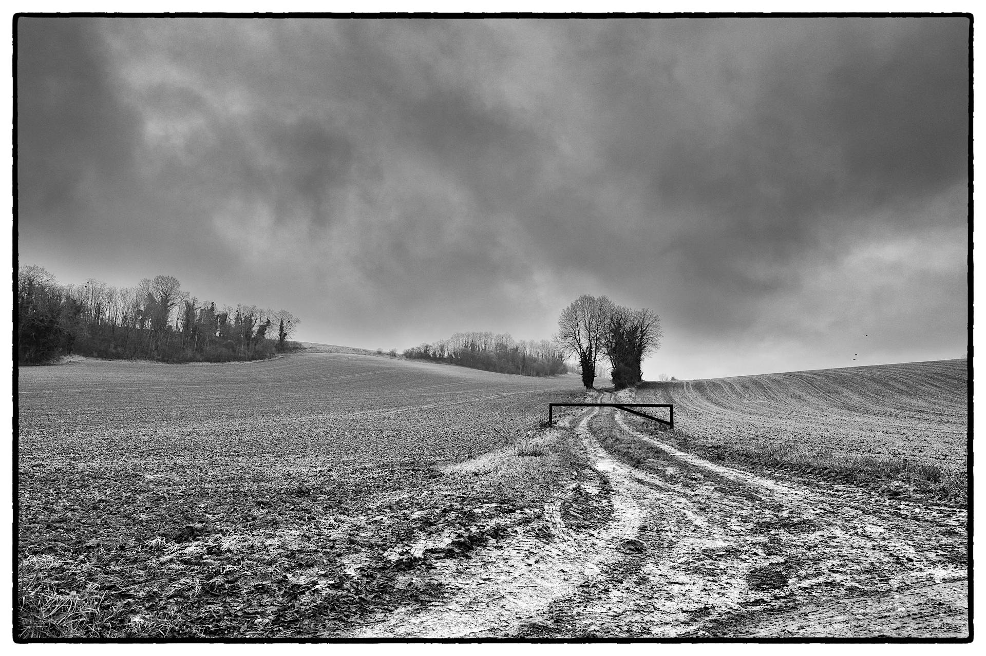 Les paysages de Yann Mathias avec Nik Silver Efex.
