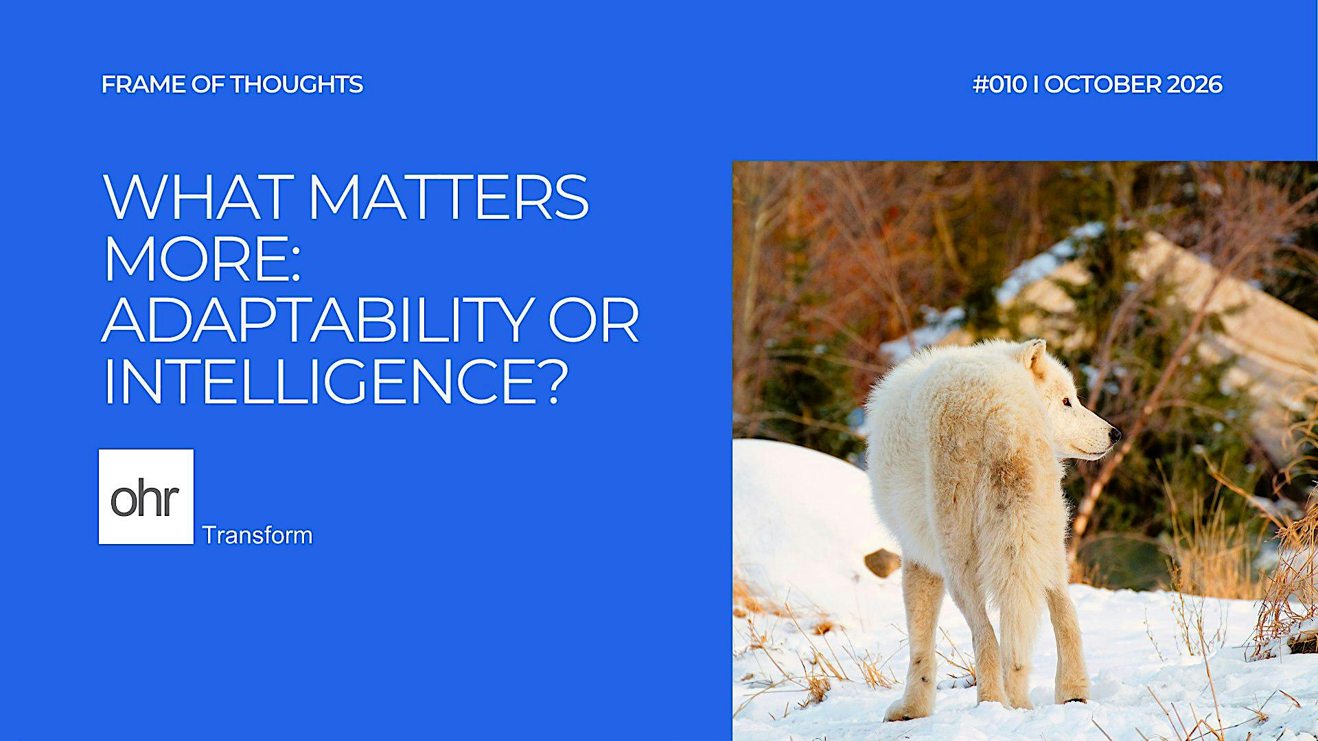 Frame of Thoughts #010 | What Matters More: Adaptability or Intelligence?