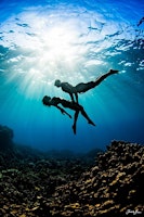Ocean/Lagoon/Cenote Dance