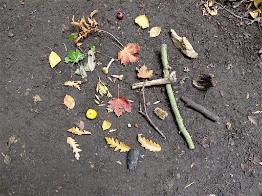 The Creative Woods:  from Summer to Autumn at Chorlton Waterpark / TK