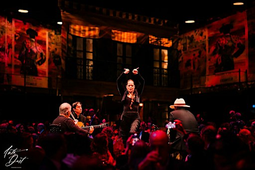 Flamenco Festero