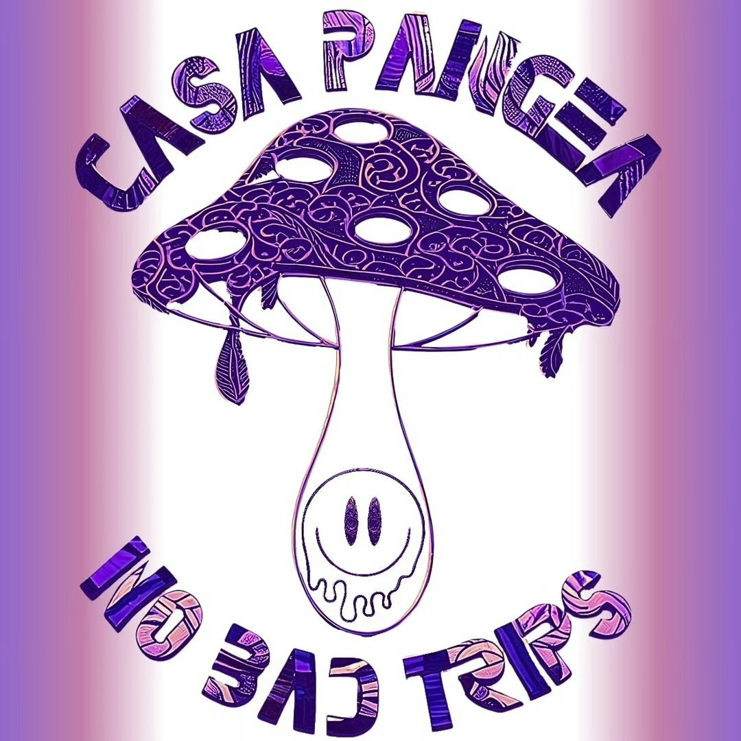 Imox x Casa Pangea I Specka Club
