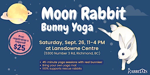 Moon Rabbit Bunny Yoga
