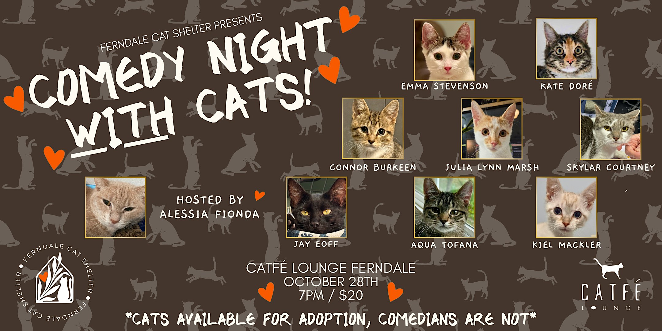 Comedy Night with Cats!