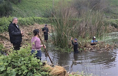Water Gardening & Alemany Pond Restoration Day