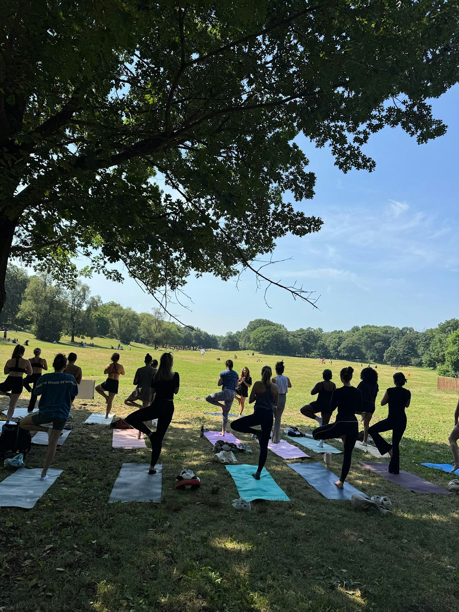 Outdoor Yoga in Prospect Park | Sundays in Brooklyn | 11:00am