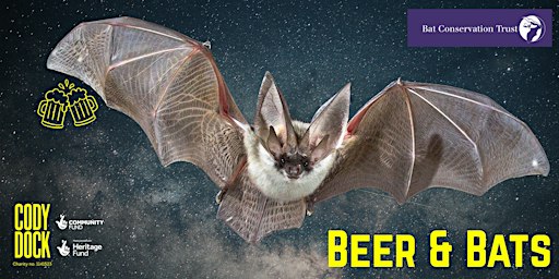 Beer & Bats 2026