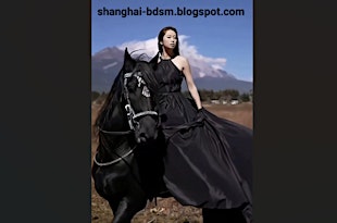 Intro to BDSM Toys – Private Airport Transfer from Shanghai to Wuxi