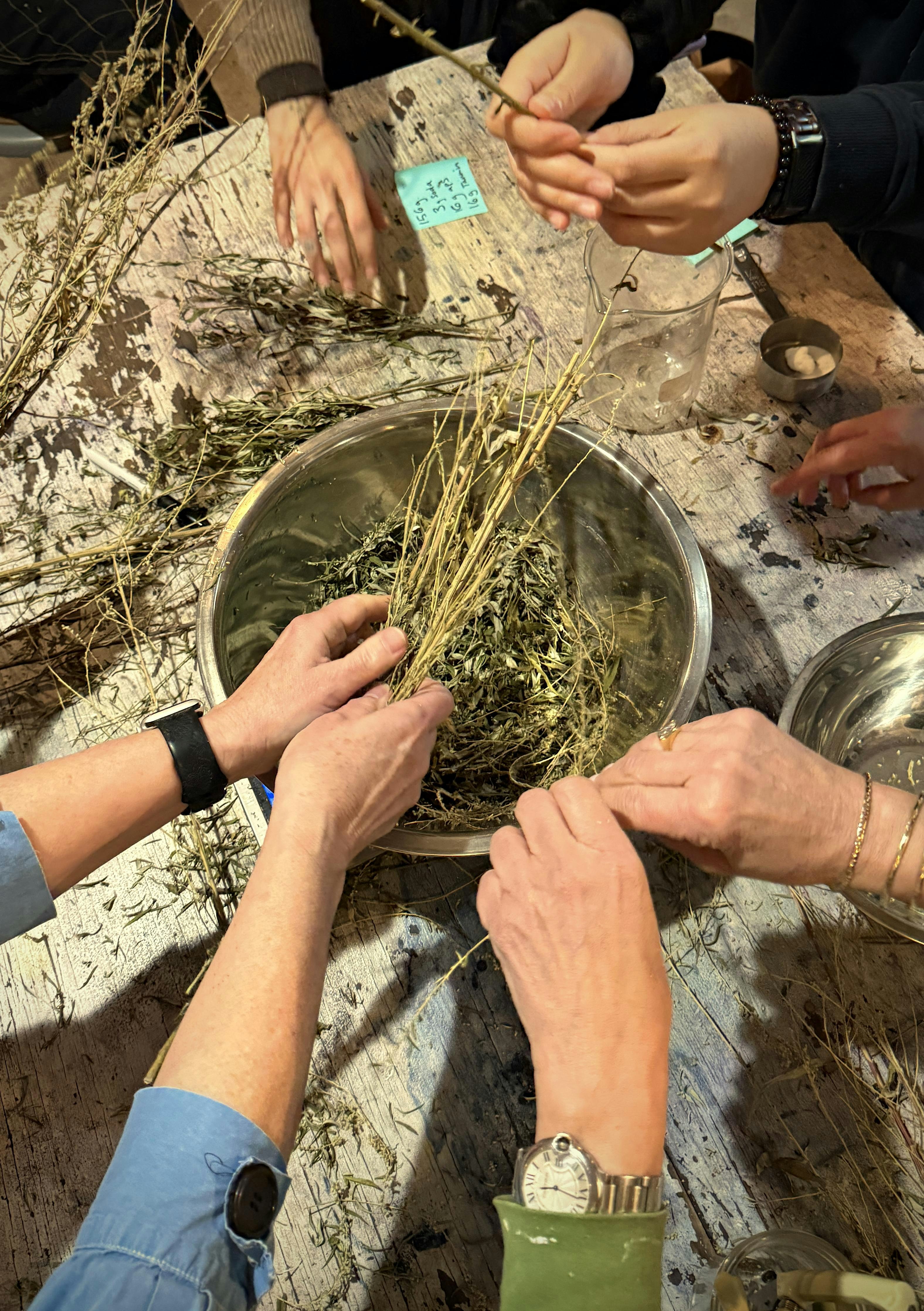 Workshop botanisch verven in Rotterdam - verf je eigen tas en sjaal