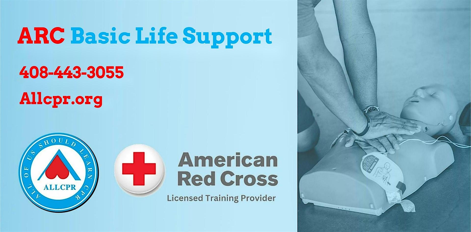 Red Cross Basic Life Support class in Austin