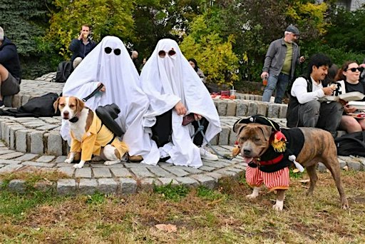 Halloween Harvest Festival