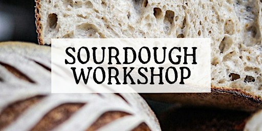 Mastering Sourdough - The Quest for the Perfect Loaf