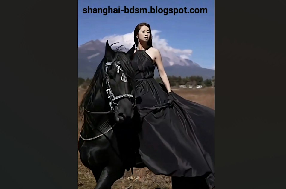 Intro to BDSM Toys – Private Airport Transfer from Shanghai to Wuxi