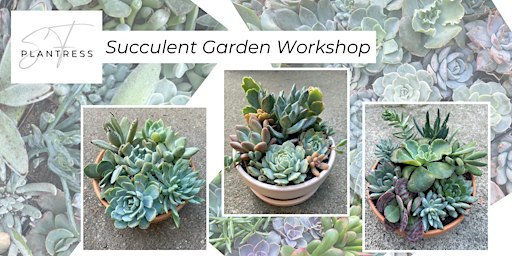 Succulent Garden Workshop