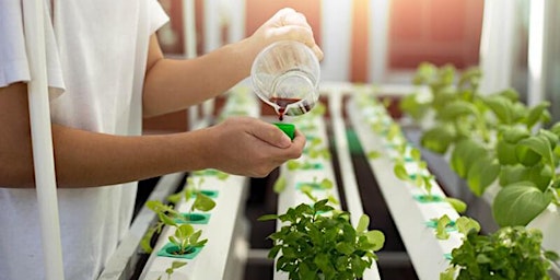 Hydro 102 - Nutrient Management Class - Includes Grow at Home Kratky System