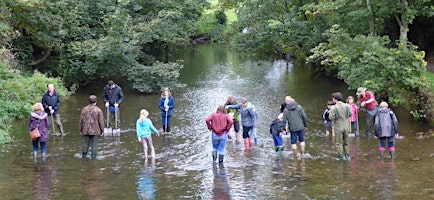 River Dipping for the over 7's on the River Chew in Keynsham