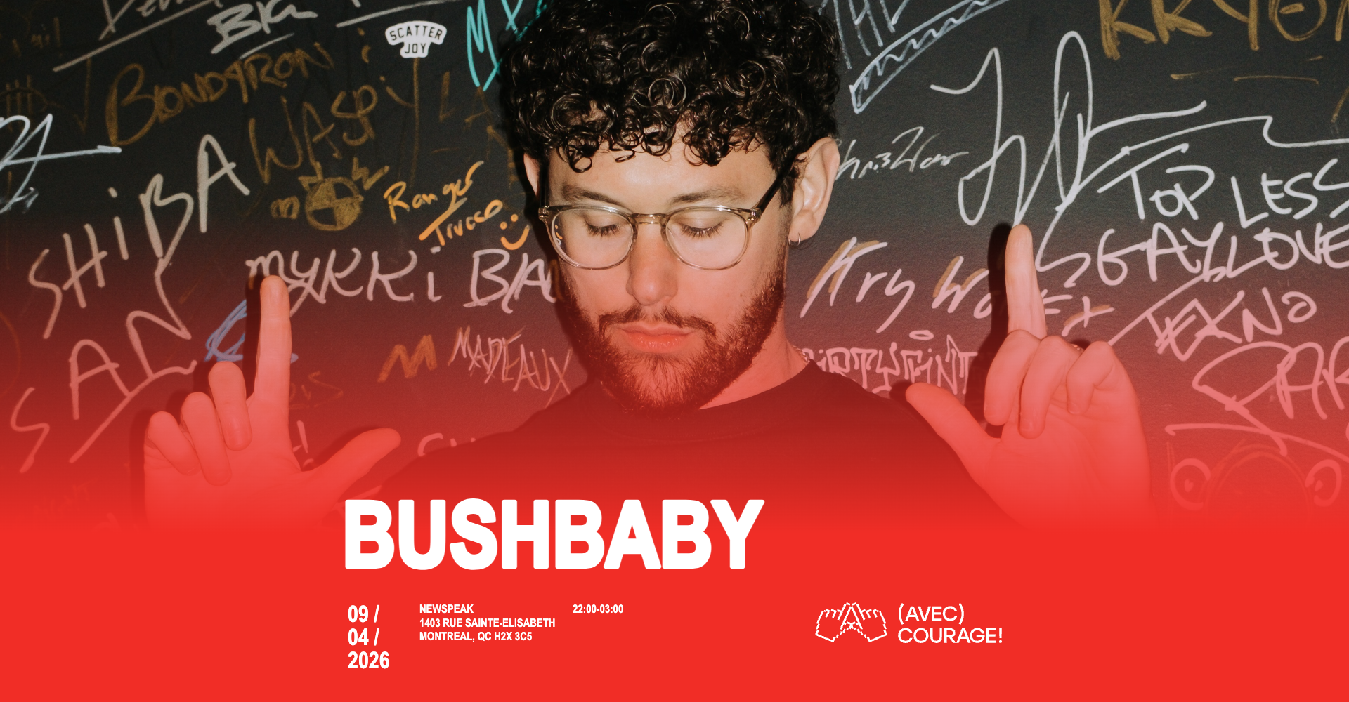 Bushbaby - Montréal