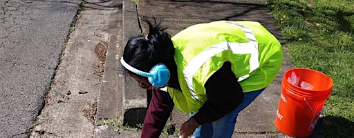 Storm Drain Marking