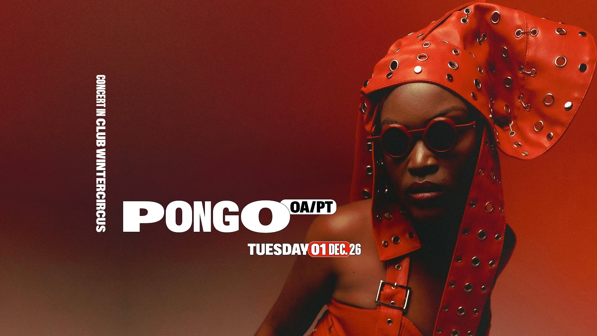 Pongo