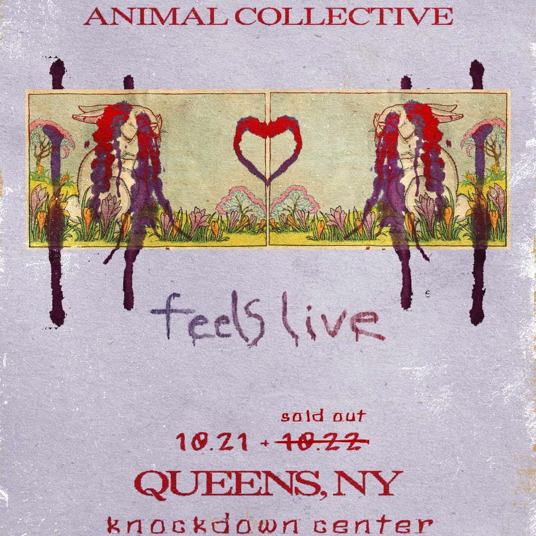Animal Collective Performs Feels Live