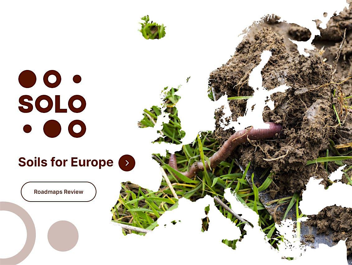 Mission Soil: Co-creating the road ahead