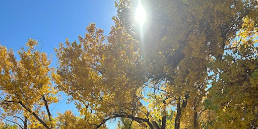 Nature Wanders of Wonder