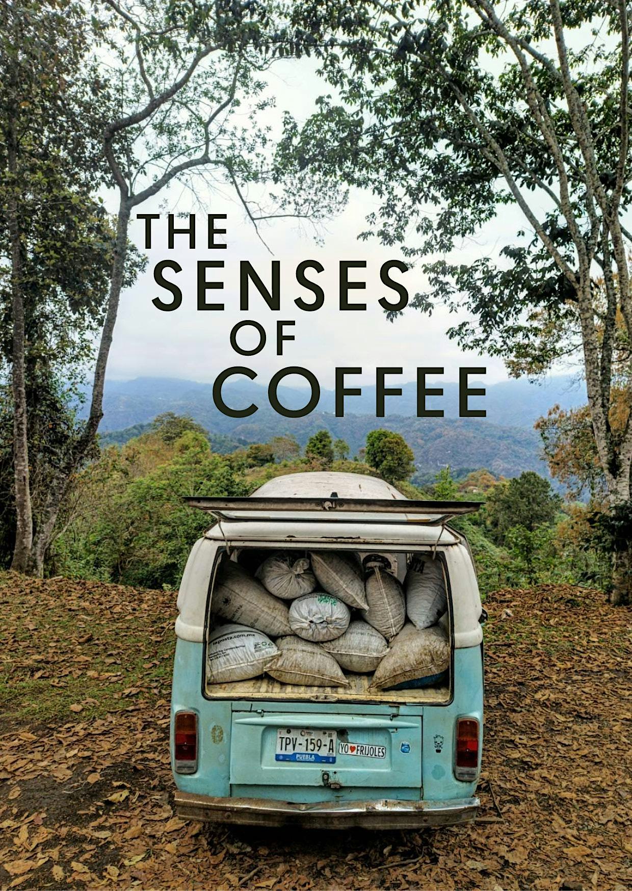 The Senses of Coffee
