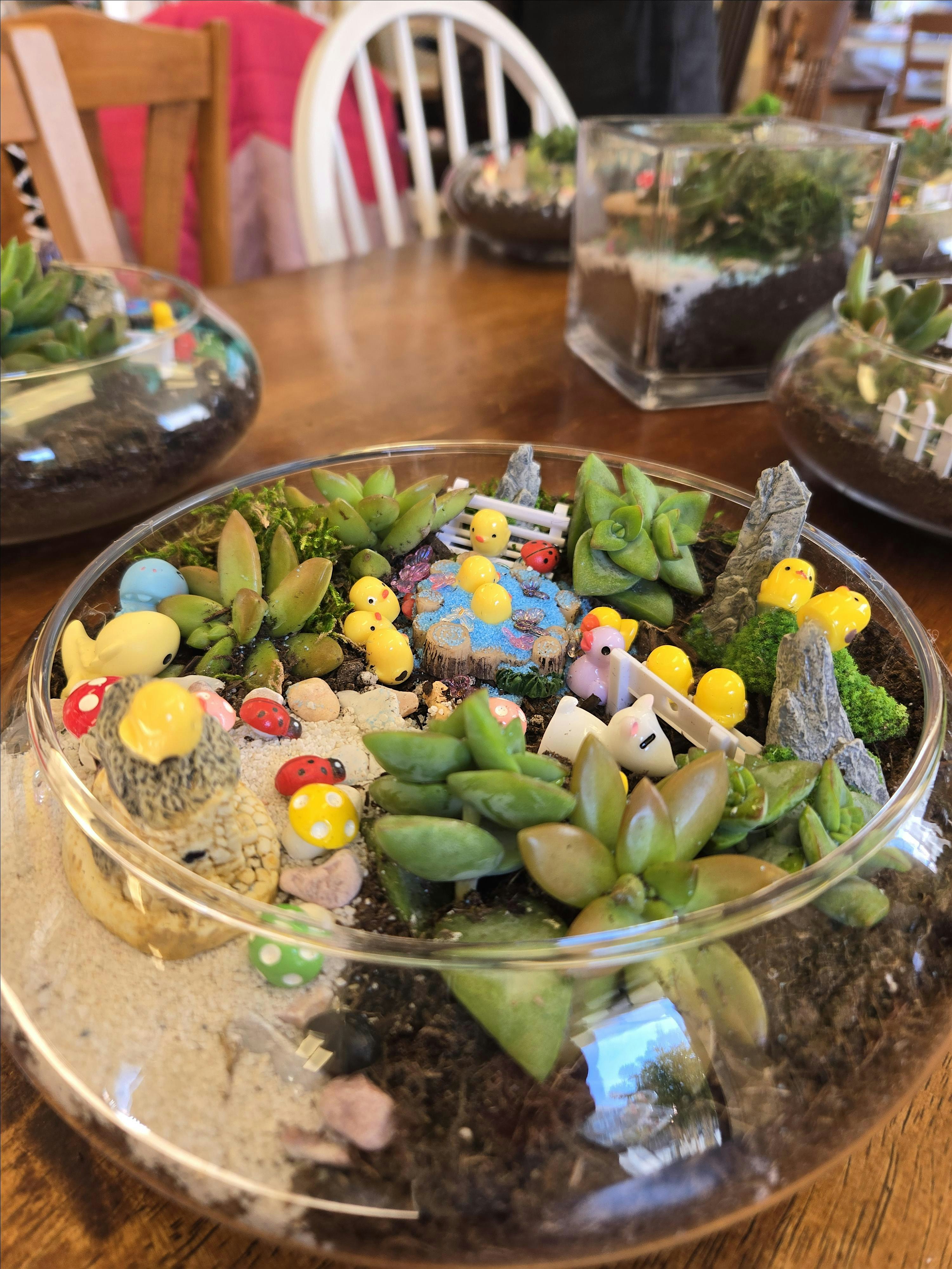 Rooted & Relaxed: Terrarium Time!