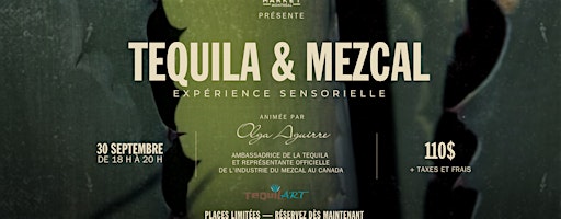 Atelier Tequila & Mezcal | Expérience sensorielle_Time Out Market Montréal