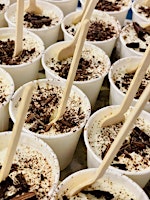 Tiramisu Experience Workshop: Eat What You Make | Sunday 13.9.26
