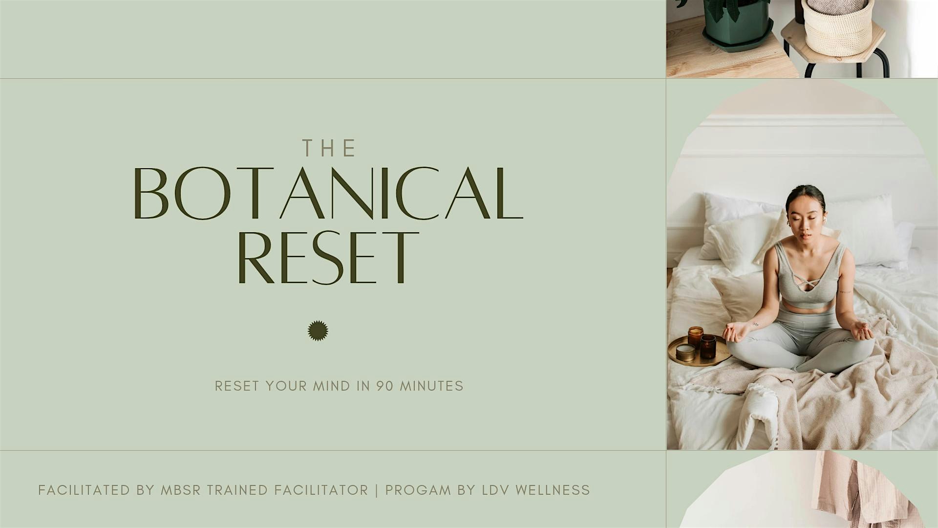 Botanical Reset Workshop | Reset & Biohack your nervous system