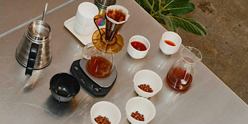 fresh crop flight: curated specialty coffee tasting