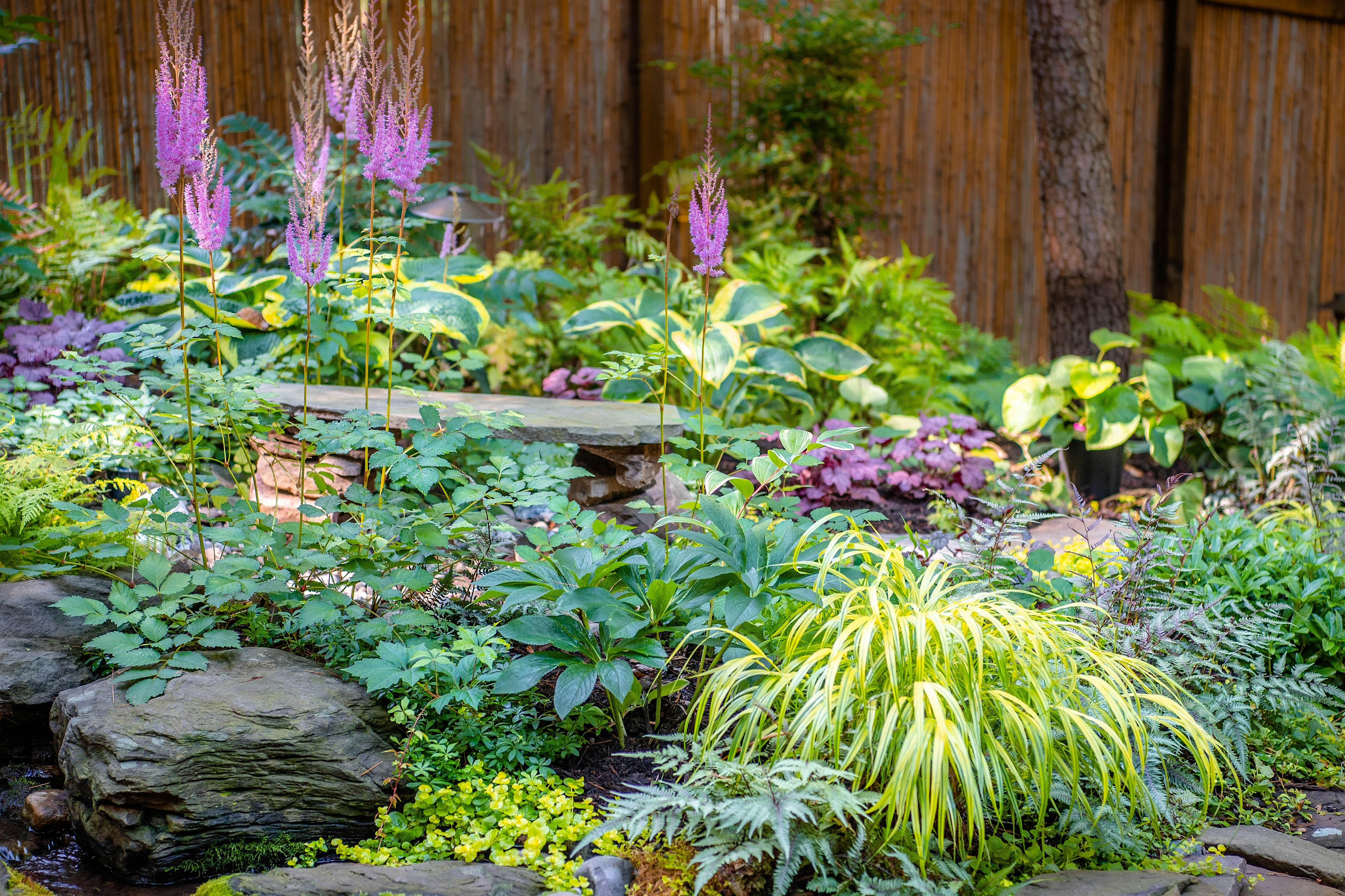 Shade Garden Bed Planning Workshop