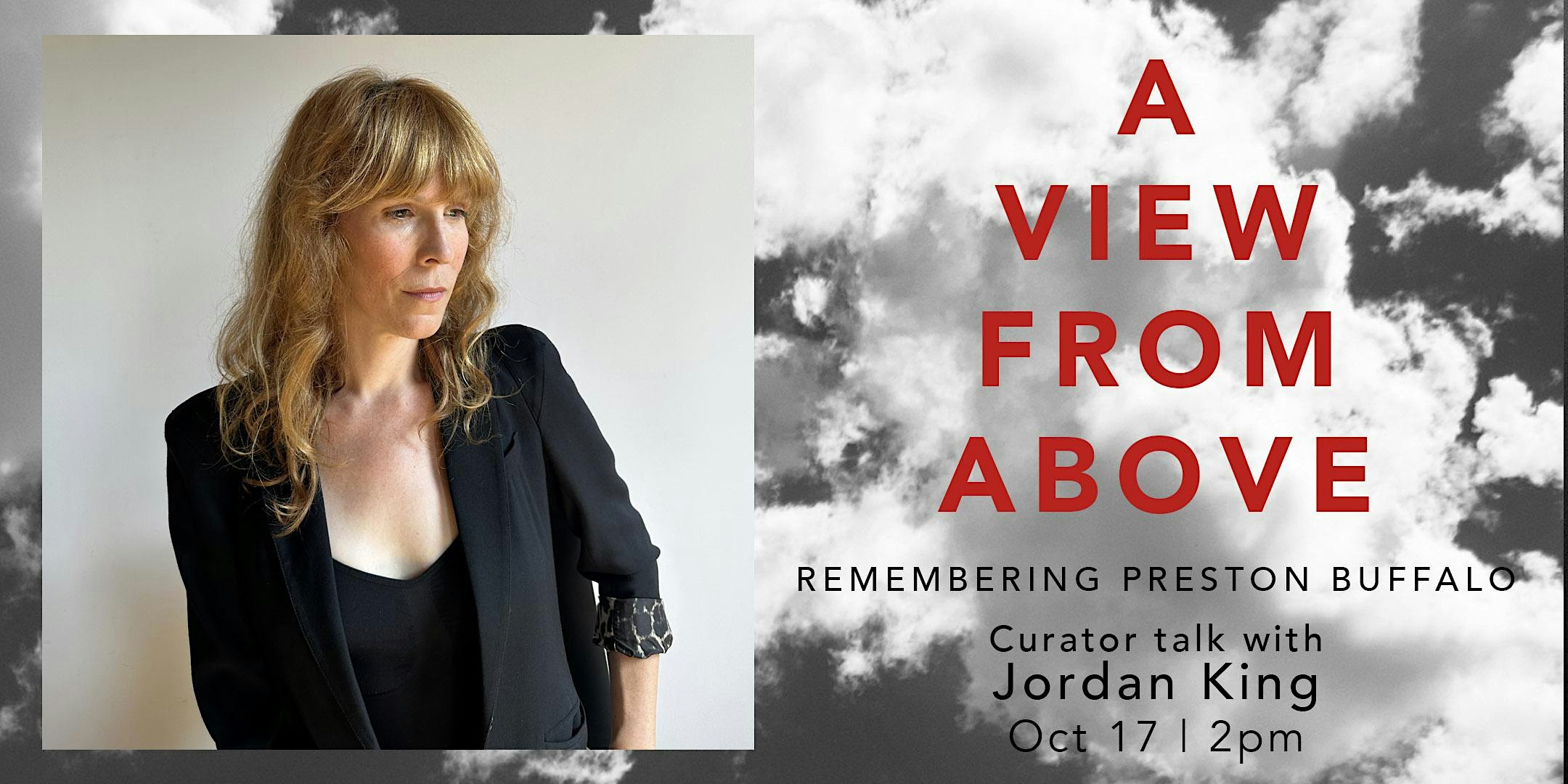 A View From Above: Curator Talk