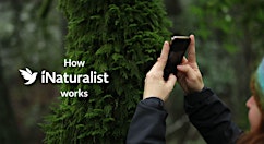 Citizen Science For Everyone: Intro to iNaturalist & Plant ID Ramble